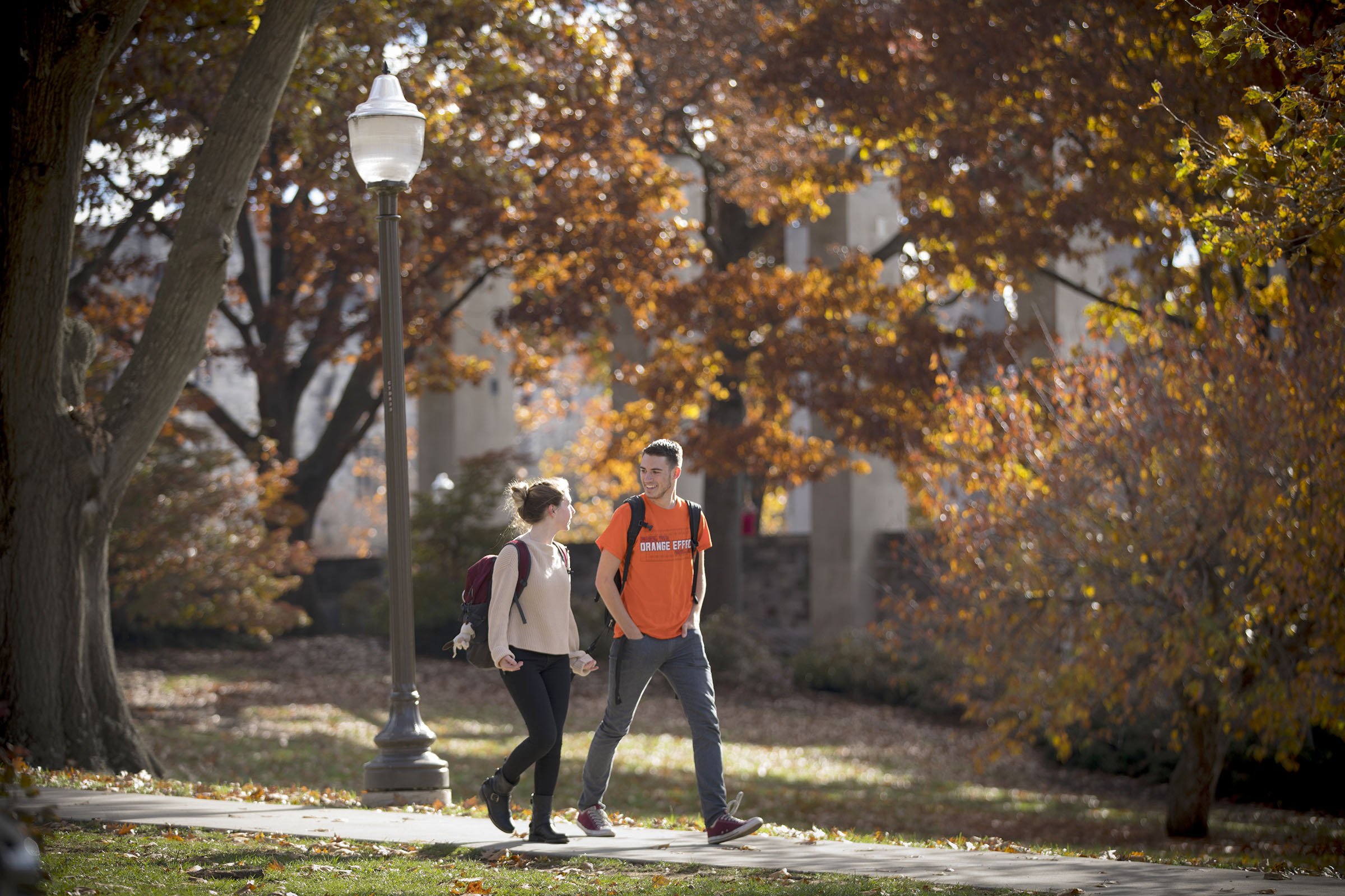 From cultural student unions, to local food bank volunteers, from disciplinary honor societies, to sports and outdoor clubs, Virginia Tech's over 900 student organizations give you a community where you can belong.
