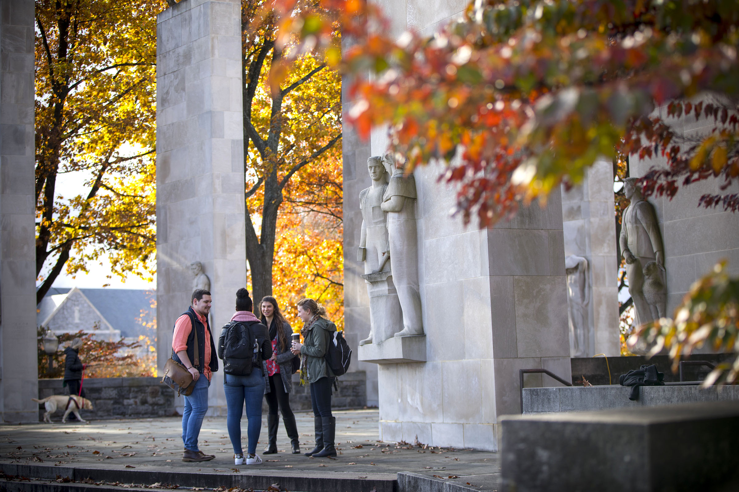 Virginia Tech was ranked in the top ten by PayScale as a Best Value College for Humanities Majors Each year, PayScale releases a College ROI Report that expresses which schools offer the highest return on investment for tuition. 